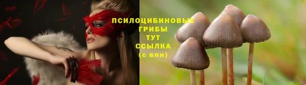 каннабис Абинск