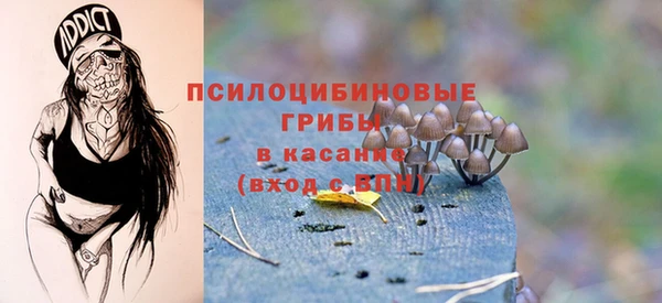 гашик Надым