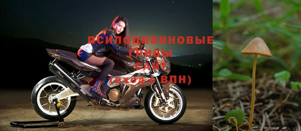 дурь Абдулино